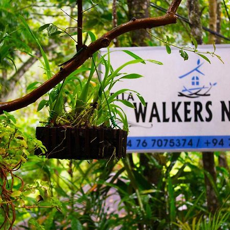 Hotel Ella Walkers Nest Exterior foto
