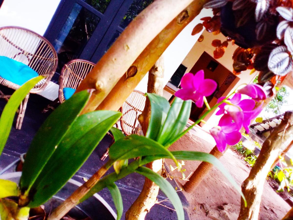 Hotel Ella Walkers Nest Exterior foto