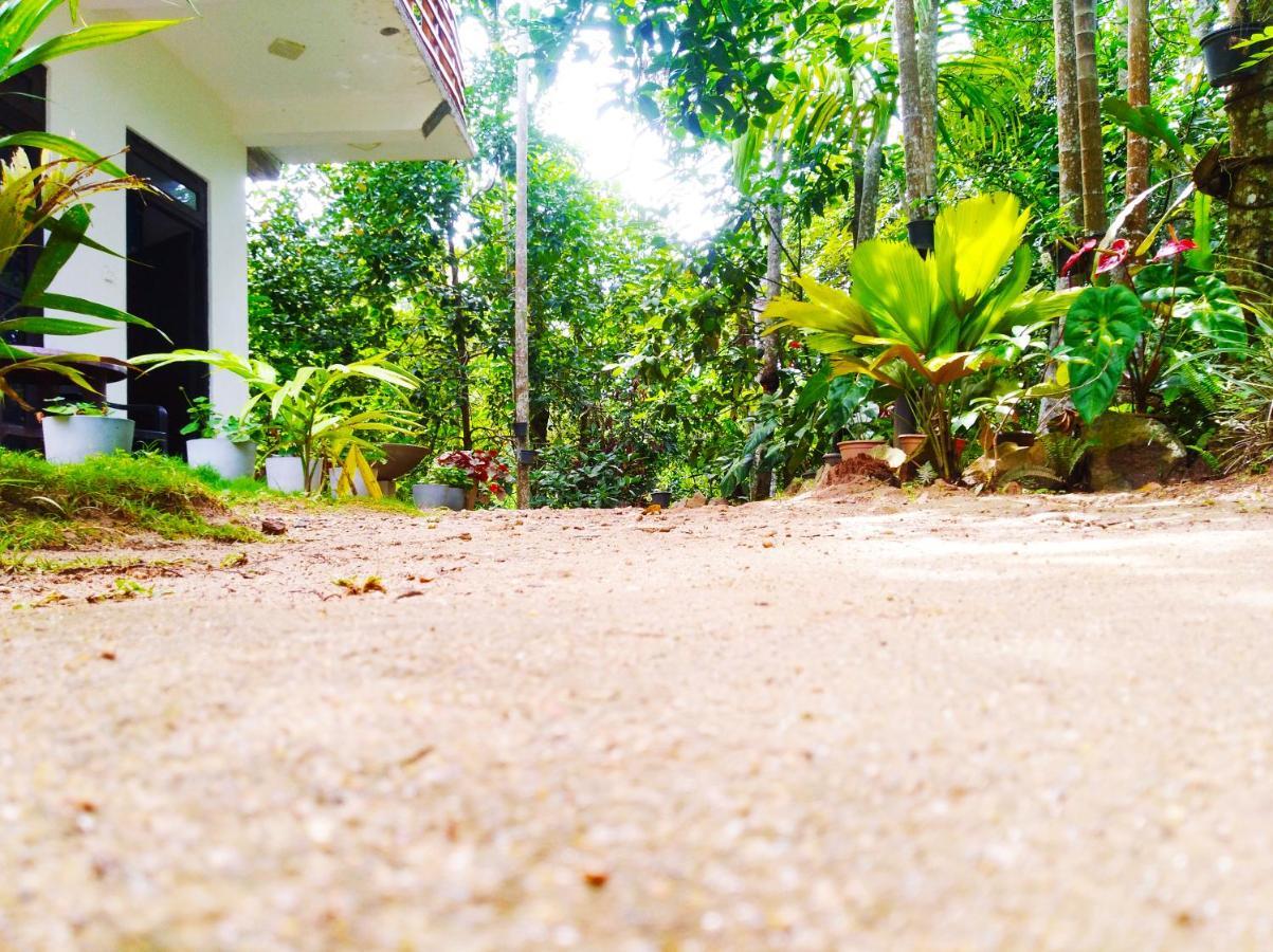 Hotel Ella Walkers Nest Exterior foto