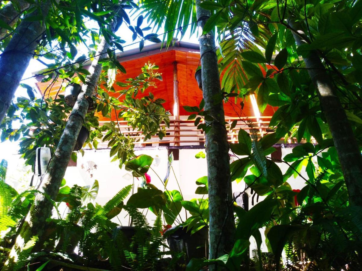 Hotel Ella Walkers Nest Exterior foto